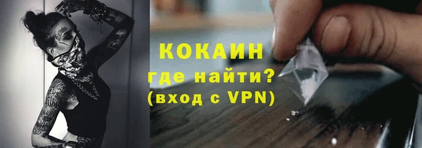 мет Новозыбков