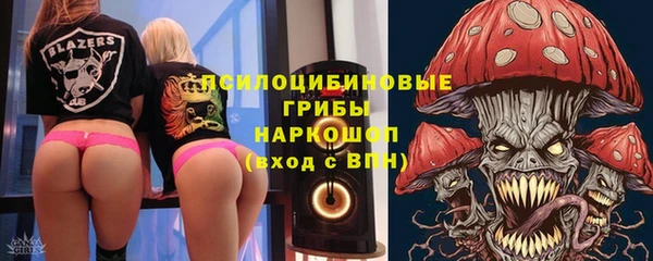 герыч Новодвинск