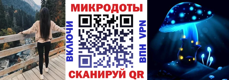 Псилоцибиновые грибы Cubensis  закладки  Томилино 